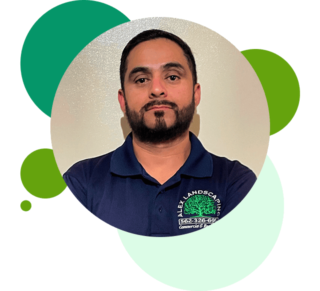 Alex, owner of Alex Landscaping Inc, C-27 licensed contractor